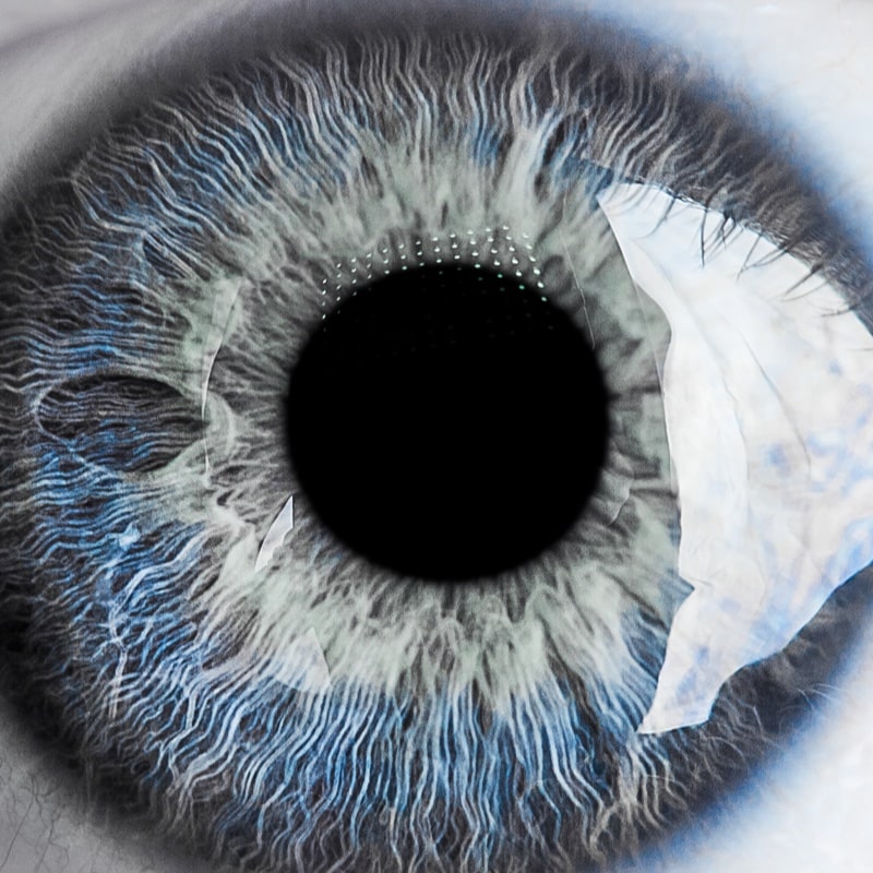 Close up of the eye in detail showing the iris, cornea and lens