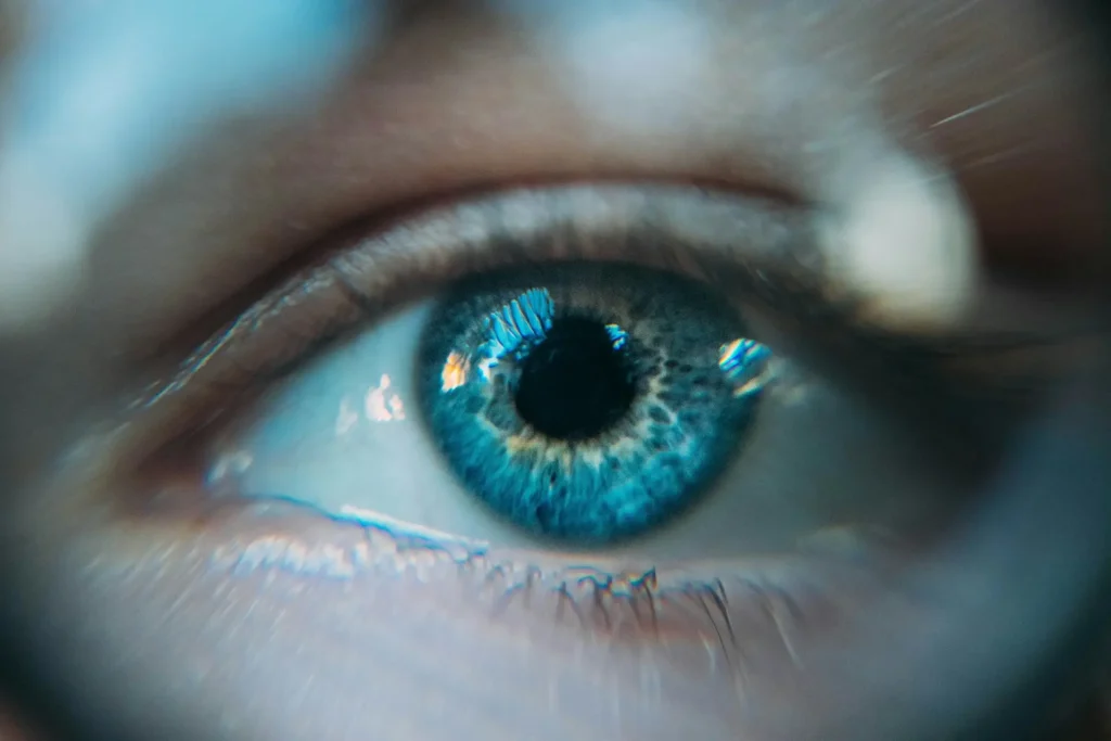 high resolution eye image showing iris / lens / cornea